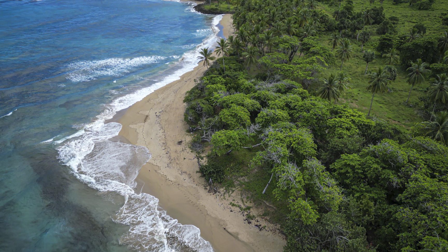 buyDRproperty Stunning oceanfront development property with sandy beach and lush green trees. Sosua Real Estate