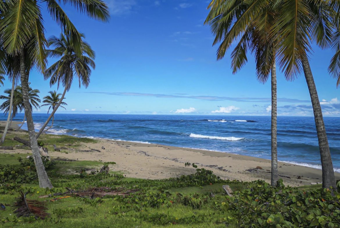 buyDRproperty Palm trees frame a view of the stunning oceanfront development property, beach and ocean under a bright blue sky. Sosua Real Estate