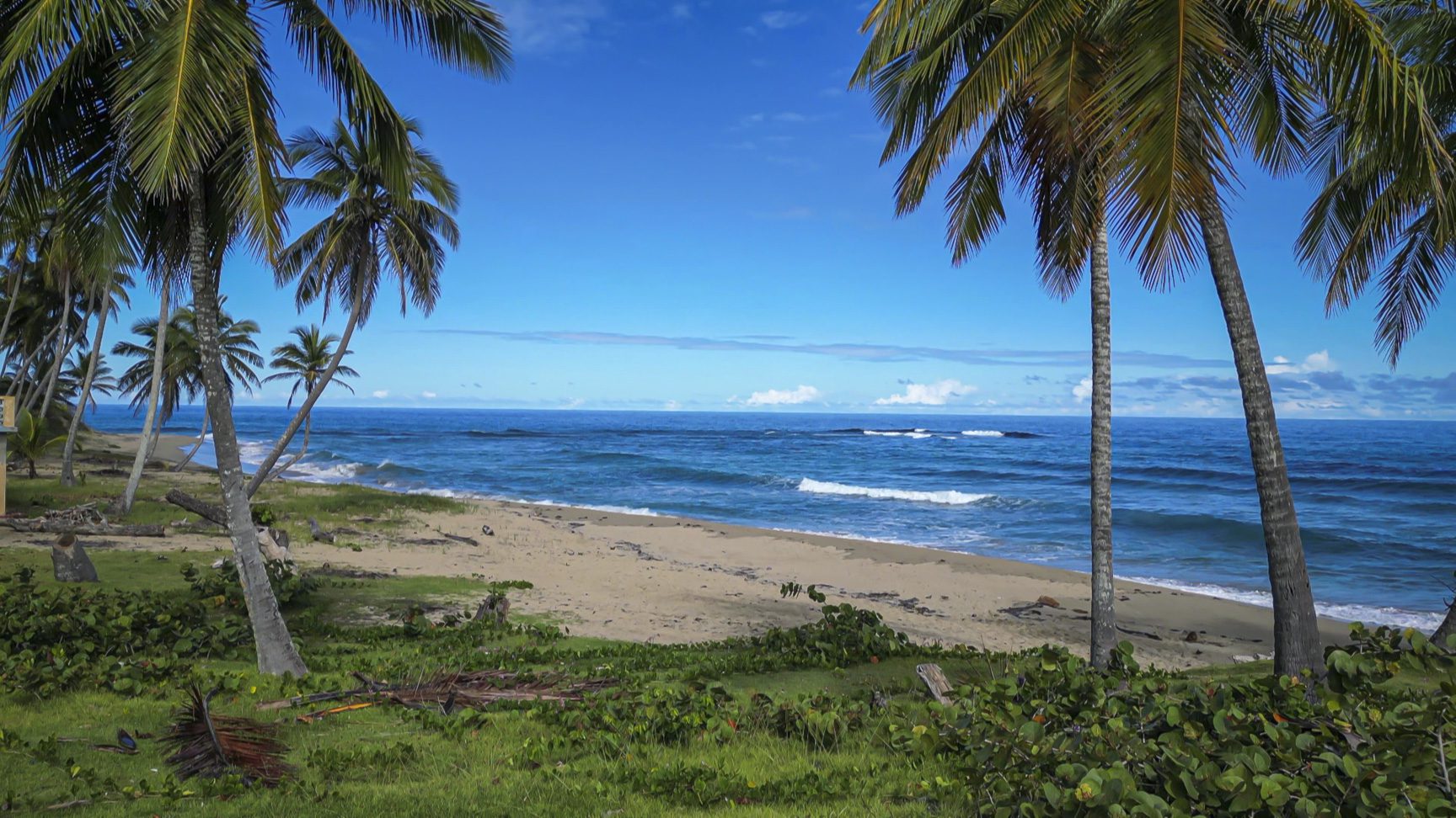 buyDRproperty Palm trees frame a view of the stunning oceanfront development property, beach and ocean under a bright blue sky. Sosua Real Estate