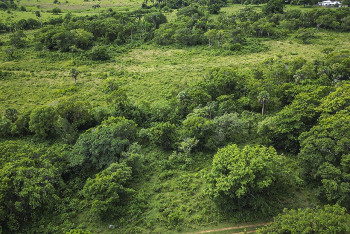 buyDRproperty Green landscape with dense forest and grassy areas. Sosua Real Estate