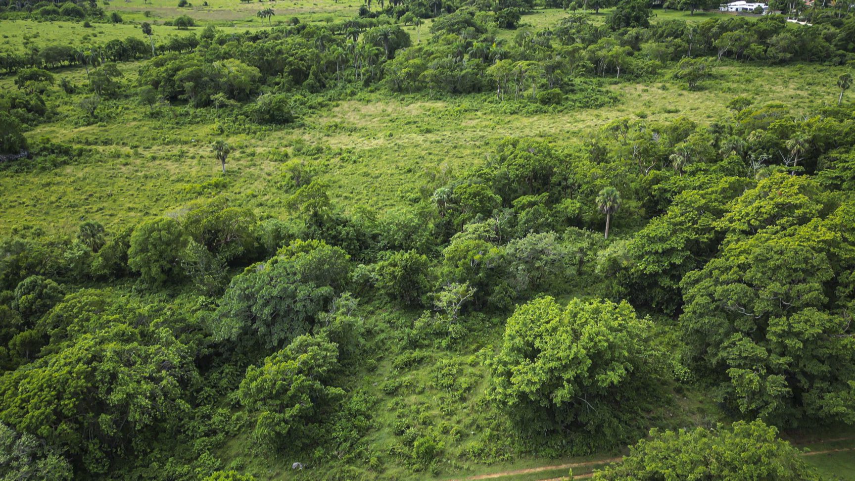 buyDRproperty Green landscape with dense forest and grassy areas. Sosua Real Estate