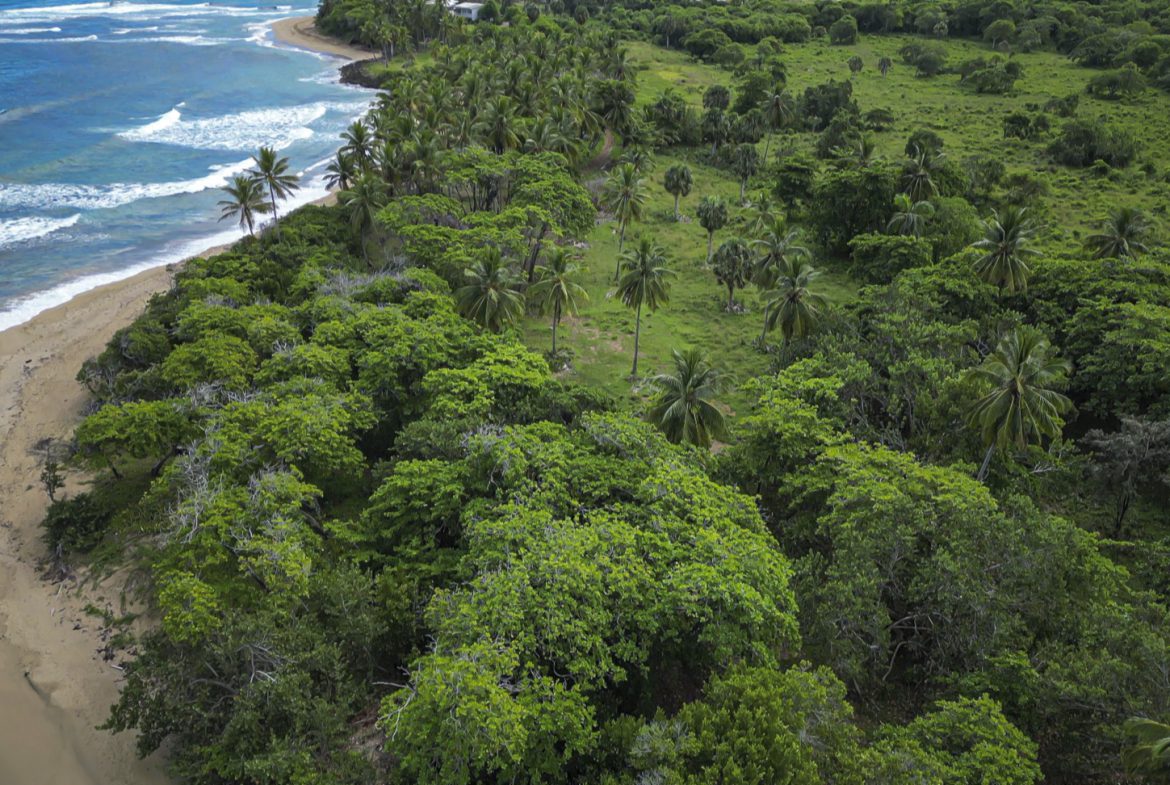 buyDRproperty Stunning oceanfront development property with lush green vegetation and sandy beach Sosua Real Estate