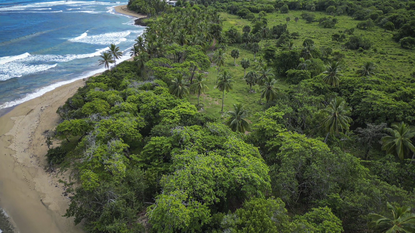 buyDRproperty Stunning oceanfront development property with lush green vegetation and sandy beach Sosua Real Estate