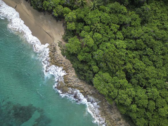 buyDRproperty Aerial view of stunning oceanfront development property with turquoise water, sandy beach, and lush green forest. Sosua Real Estate