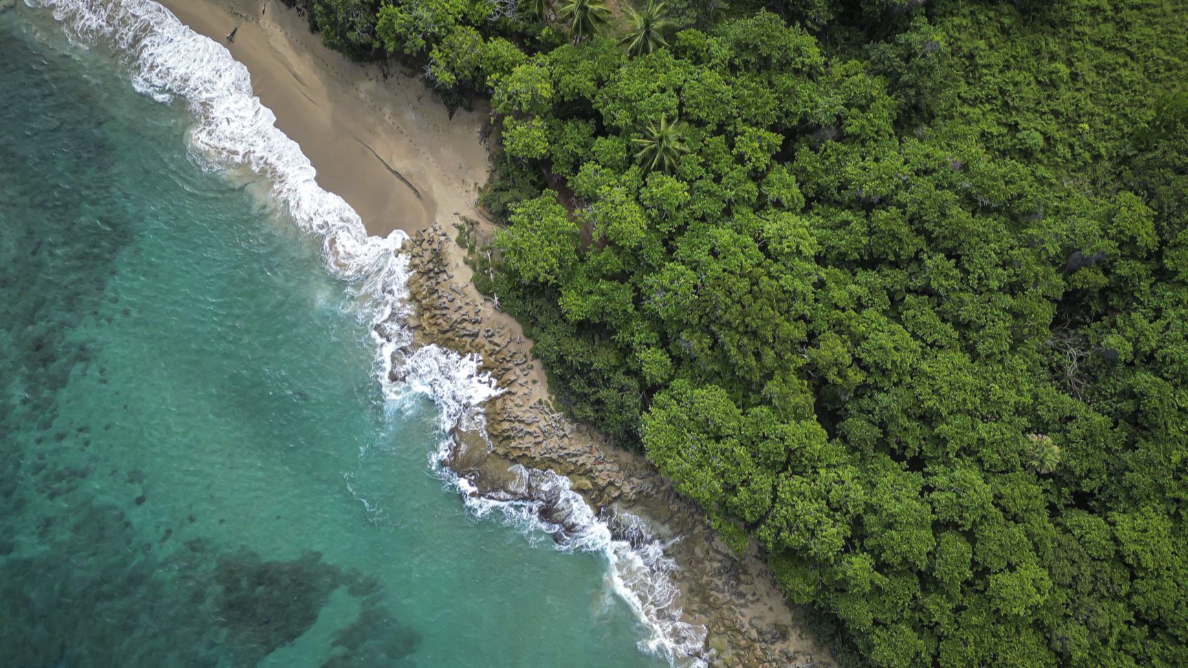 buyDRproperty Aerial view of stunning oceanfront development property with turquoise water, sandy beach, and lush green forest. Sosua Real Estate
