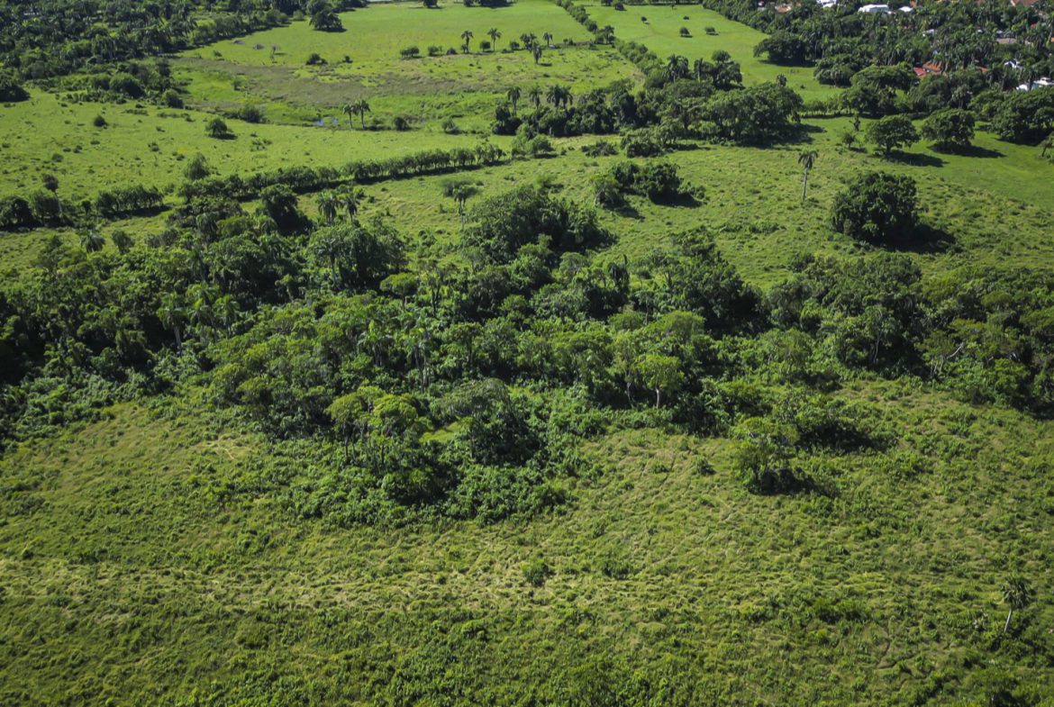 buyDRproperty Aerial view of a stunning oceanfront development property, showcasing lush green fields and trees. Sosua Real Estate