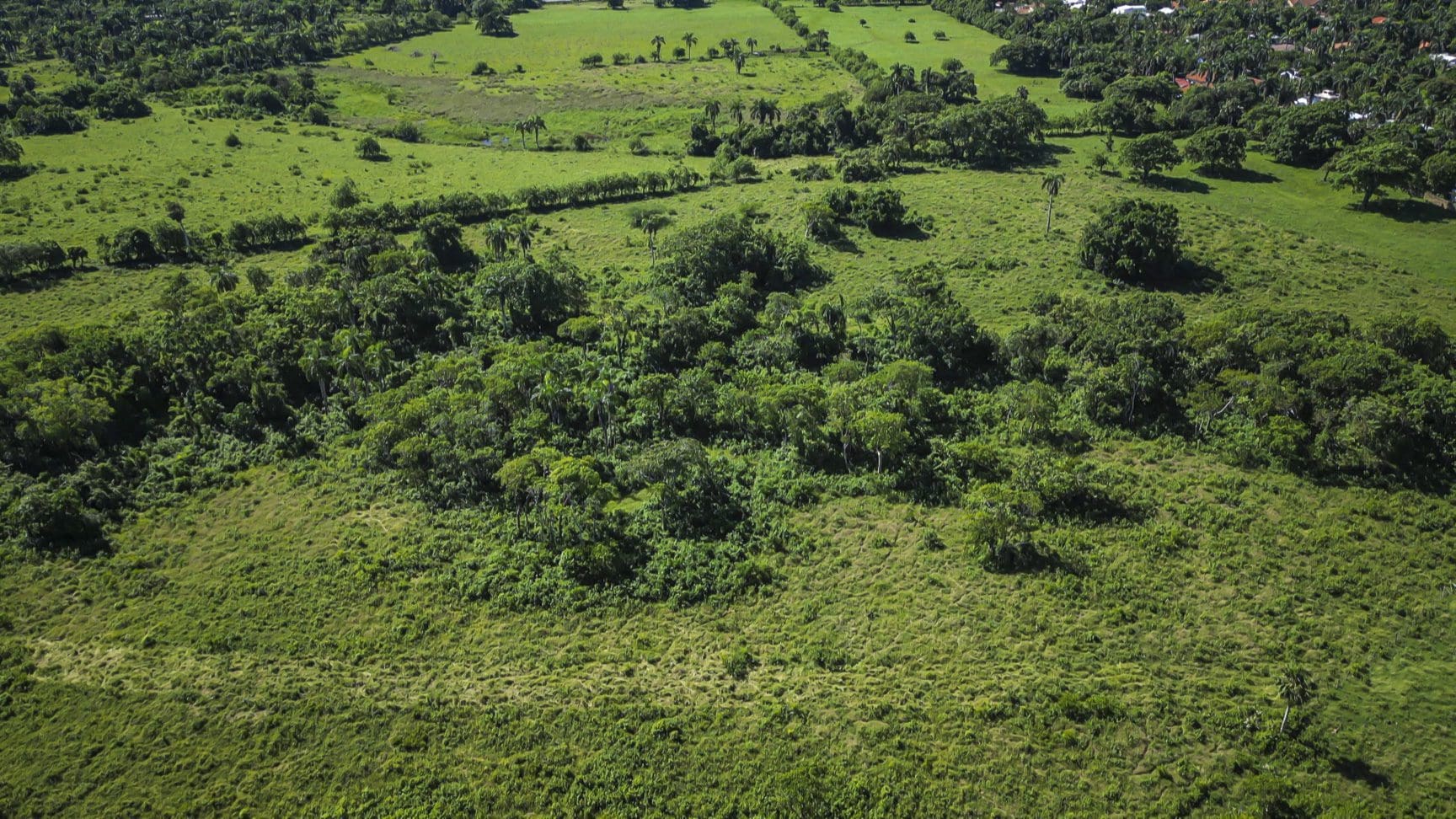 buyDRproperty Aerial view of a stunning oceanfront development property, showcasing lush green fields and trees. Sosua Real Estate