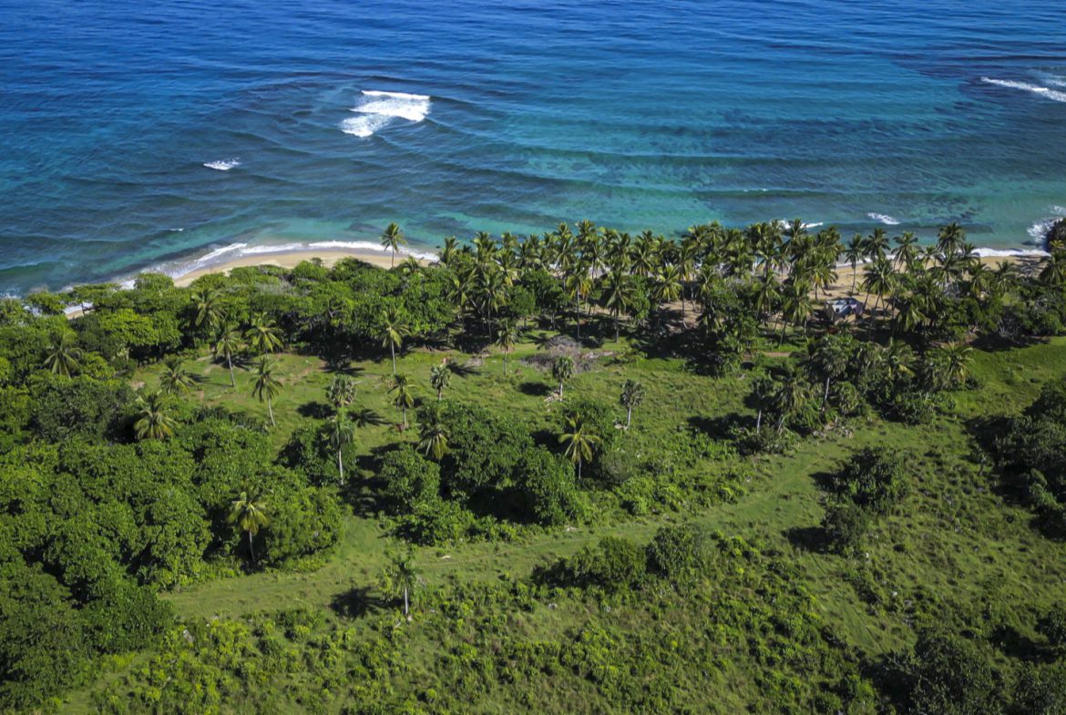 buyDRproperty Stunning oceanfront development property with sandy beach and palm trees. Sosua Real Estate