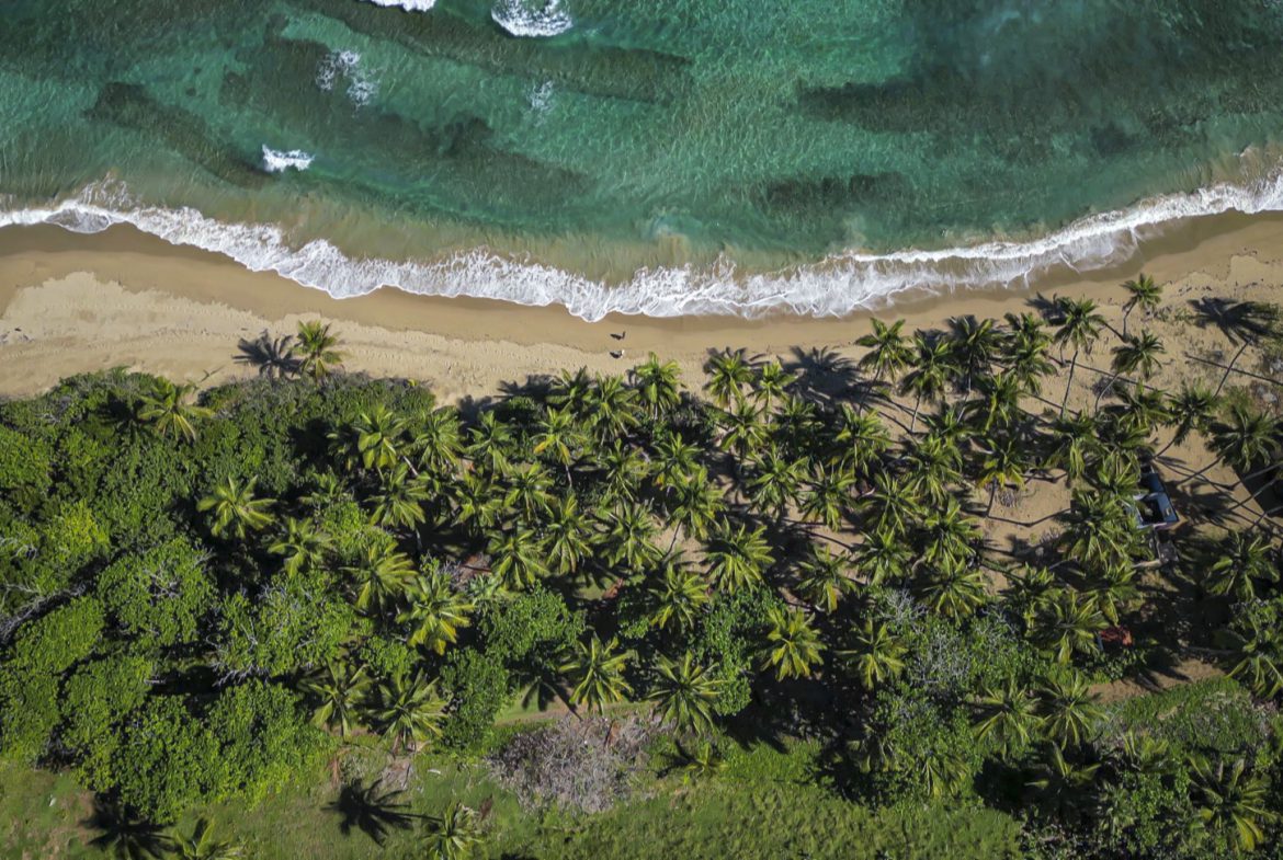 buyDRproperty Aerial view of stunning oceanfront development property with palm trees and turquoise water. Sosua Real Estate
