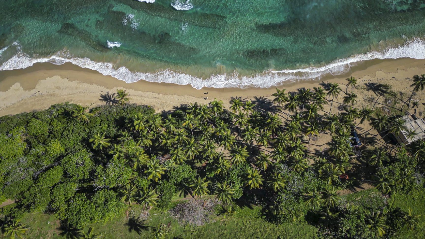 buyDRproperty Aerial view of stunning oceanfront development property with palm trees and turquoise water. Sosua Real Estate