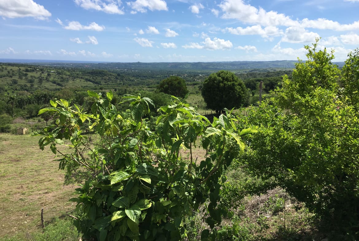 buyDRproperty Scenic view of green hills and trees, a potential development property under a blue sky. Sosua Real Estate