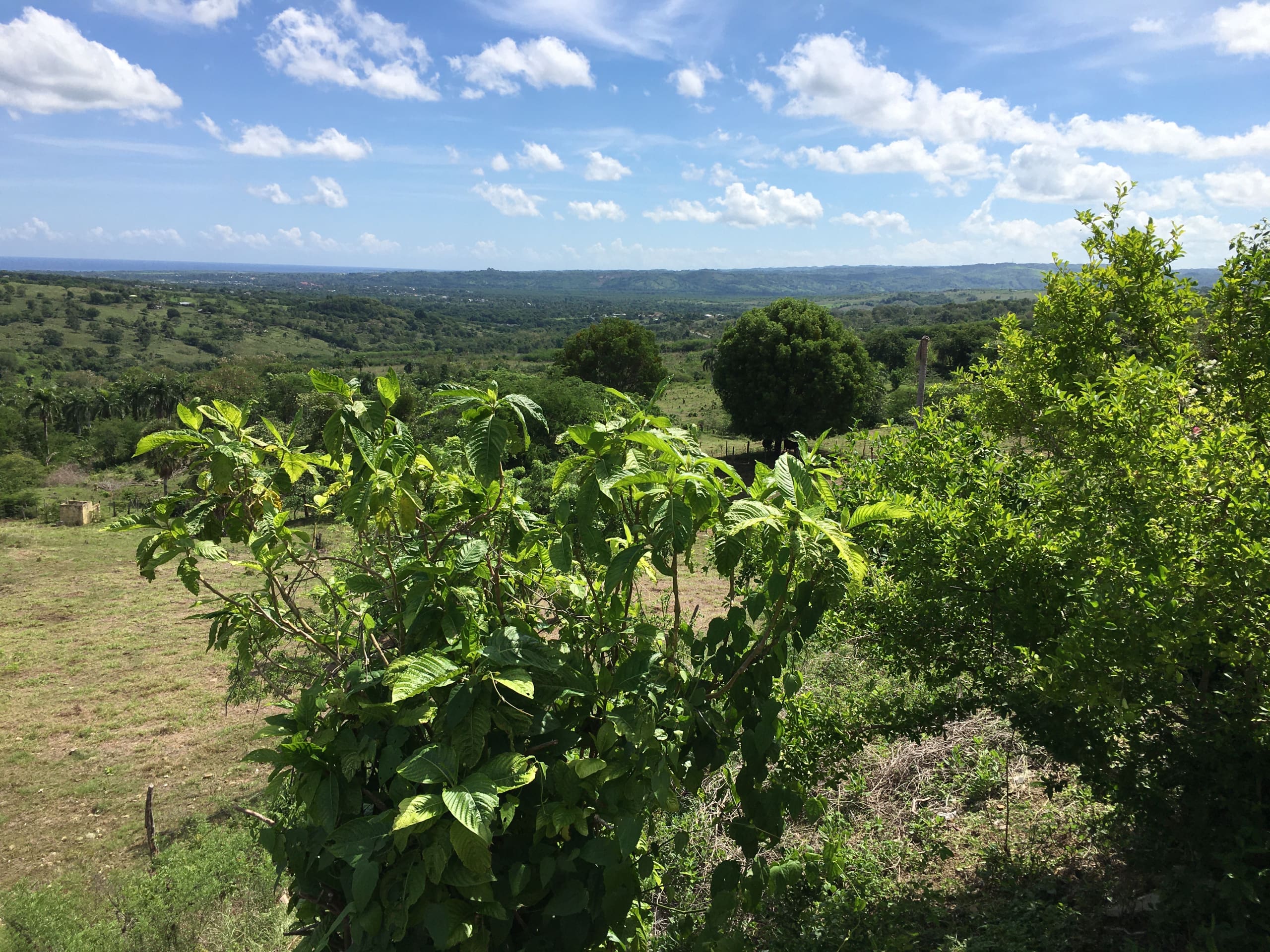 buyDRproperty Scenic view of green hills and trees, a potential development property under a blue sky. Sosua Real Estate