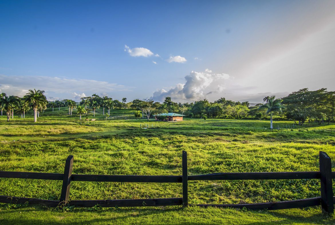 buyDRproperty Scenic view of a green field, palm trees, and a villa for sale in the Community of Terramar under a blue sky Sosua Real Estate