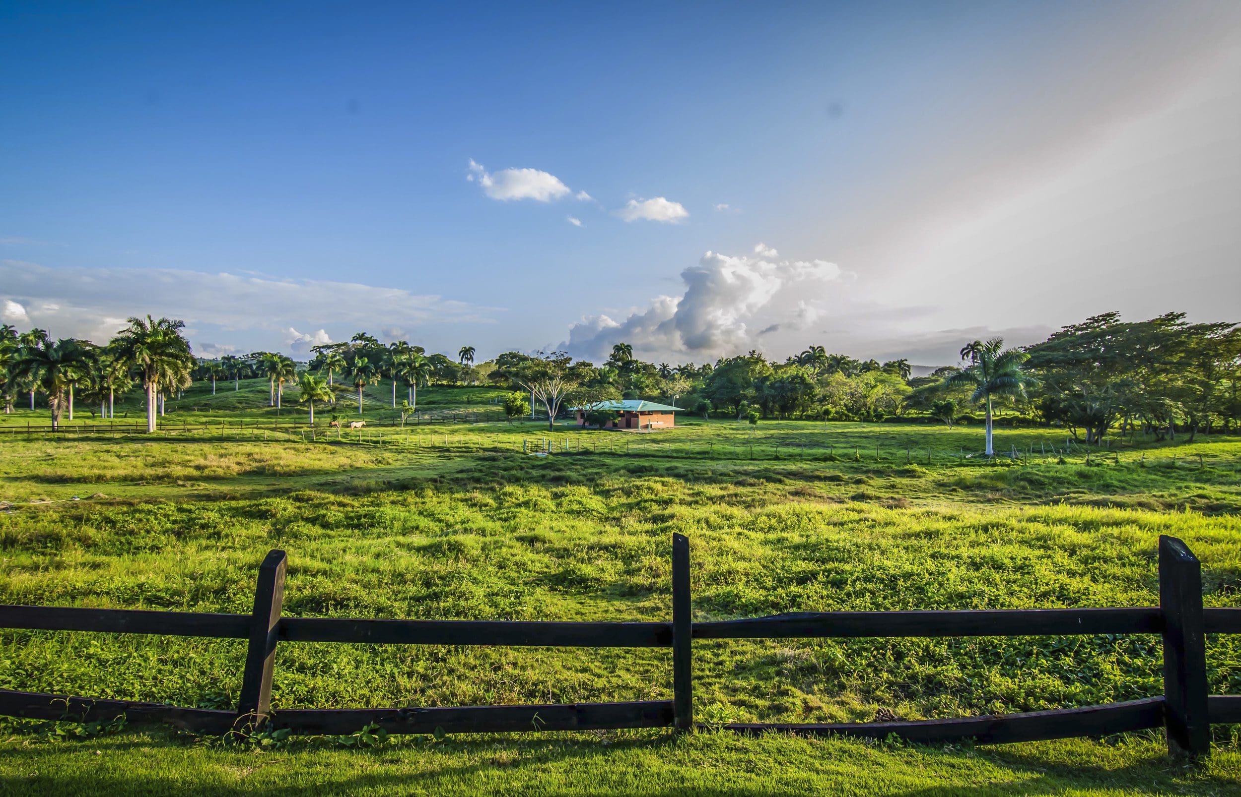 buyDRproperty Scenic view of a green field, palm trees, and a villa for sale in the Community of Terramar under a blue sky Sosua Real Estate