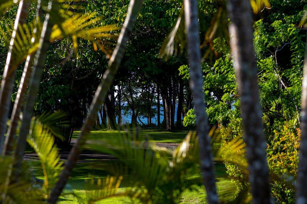 buyDRproperty View of lush green trees and lawn at Villa Luna, Sea Horse Ranch Sosua Real Estate