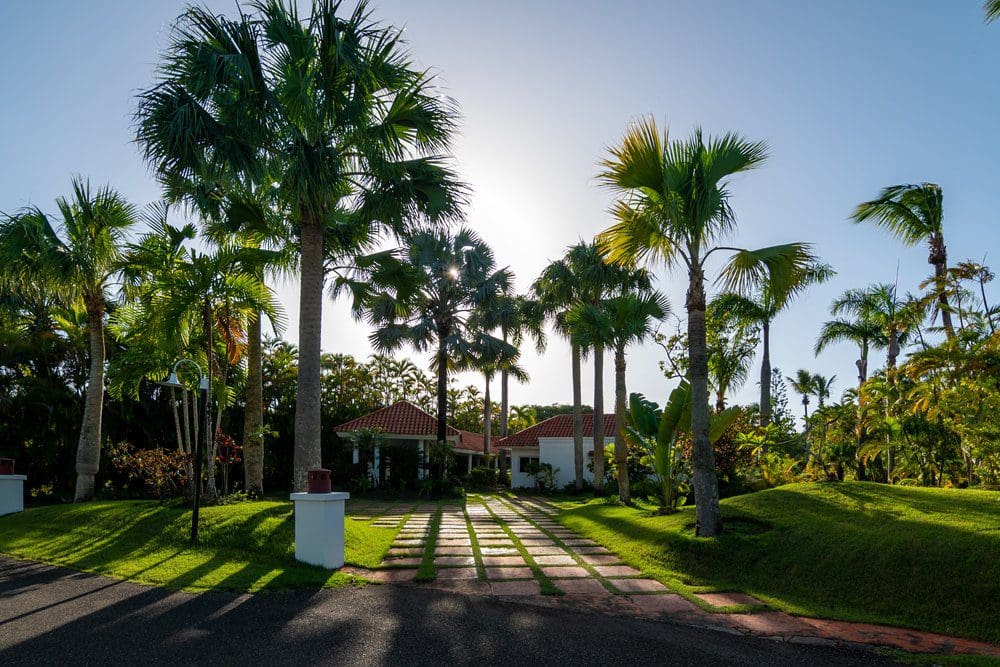 buyDRproperty Villa LUNA oceanfront property with palm trees and a driveway at Sea Horse Ranch. Sosua Real Estate