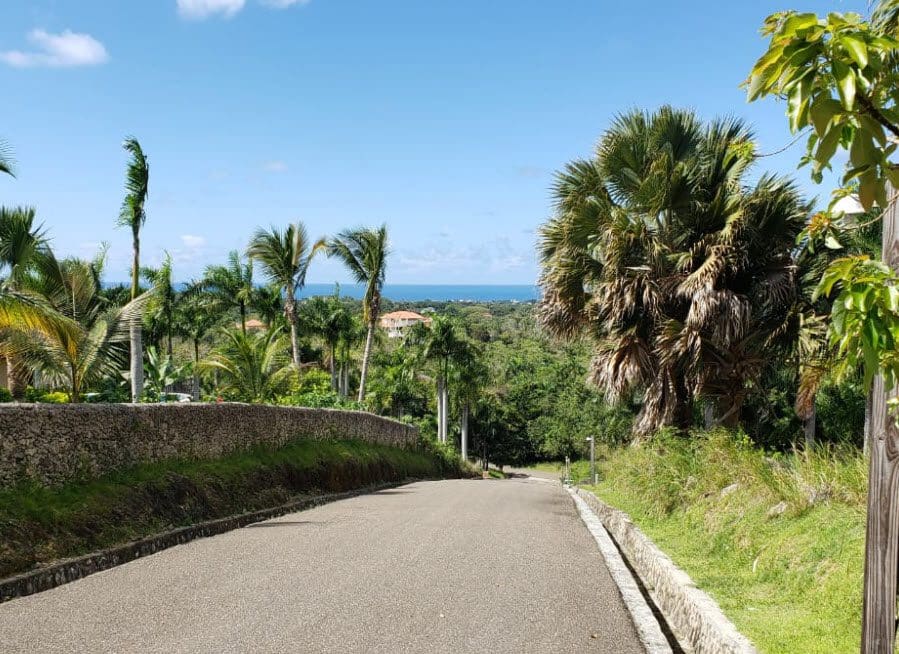 buyDRproperty Scenic view of a road leading to beautiful building lots for sale in Panorama Village, with palm trees and ocean view. Sosua Real Estate