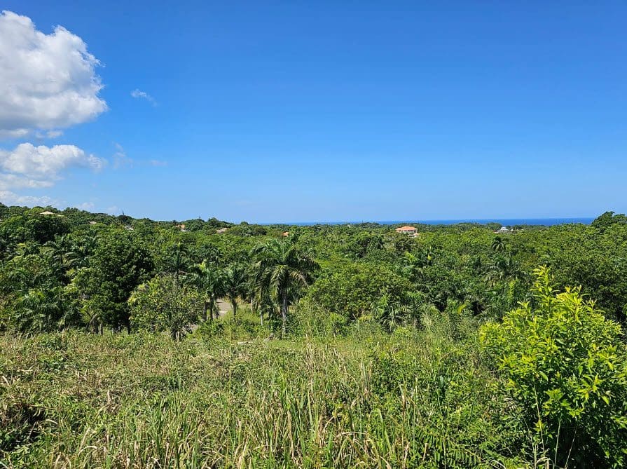 buyDRproperty Scenic view of lush green trees and the ocean, perfect for building lots for sale in Panorama Village. Sosua Real Estate