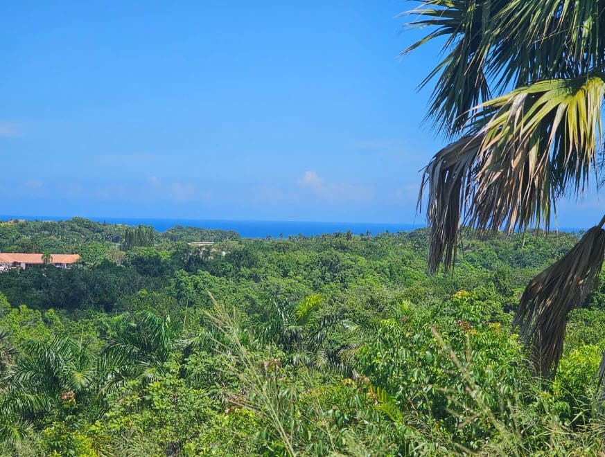 buyDRproperty Overlooking lush green landscape with ocean view, perfect for building lots in Panorama Village. Sosua Real Estate