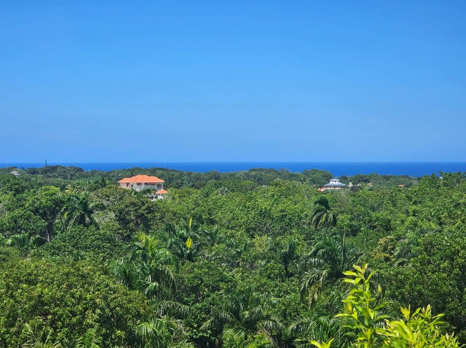 buyDRproperty Houses in Panorama Village building lots for sale, surrounded by lush greenery and ocean views. Sosua Real Estate