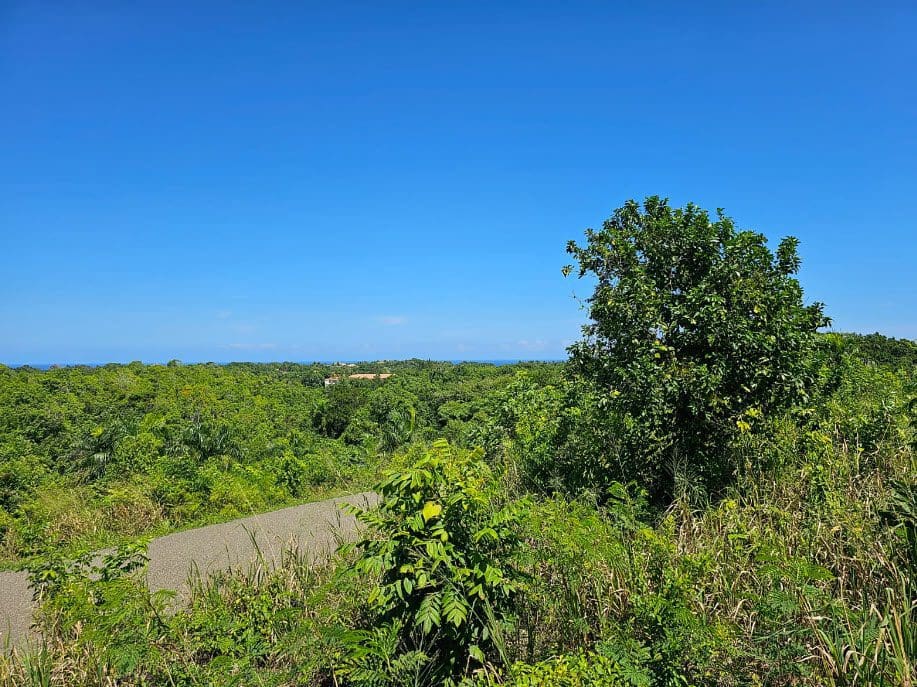 buyDRproperty Scenic view of lush green landscape in Panorama Village, near beautiful building lots for sale. Sosua Real Estate