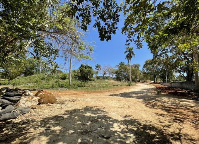 buyDRproperty Dirt road leading to beautiful building lots near Sosua, Dominican Republic Sosua Real Estate