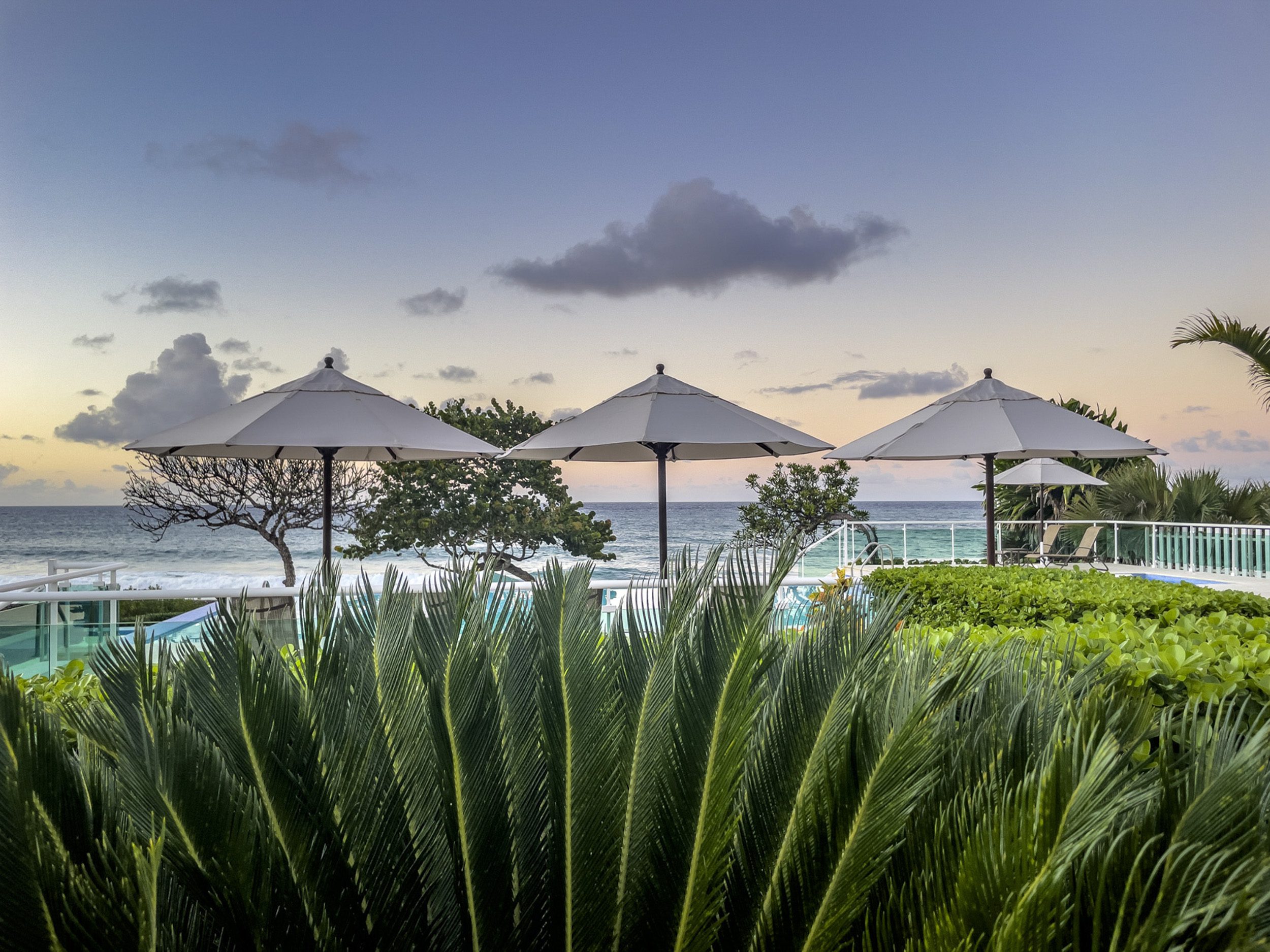 buyDRproperty Oceanfront view from a 3 bedroom oceanfront condo with beach umbrellas Sosua Real Estate