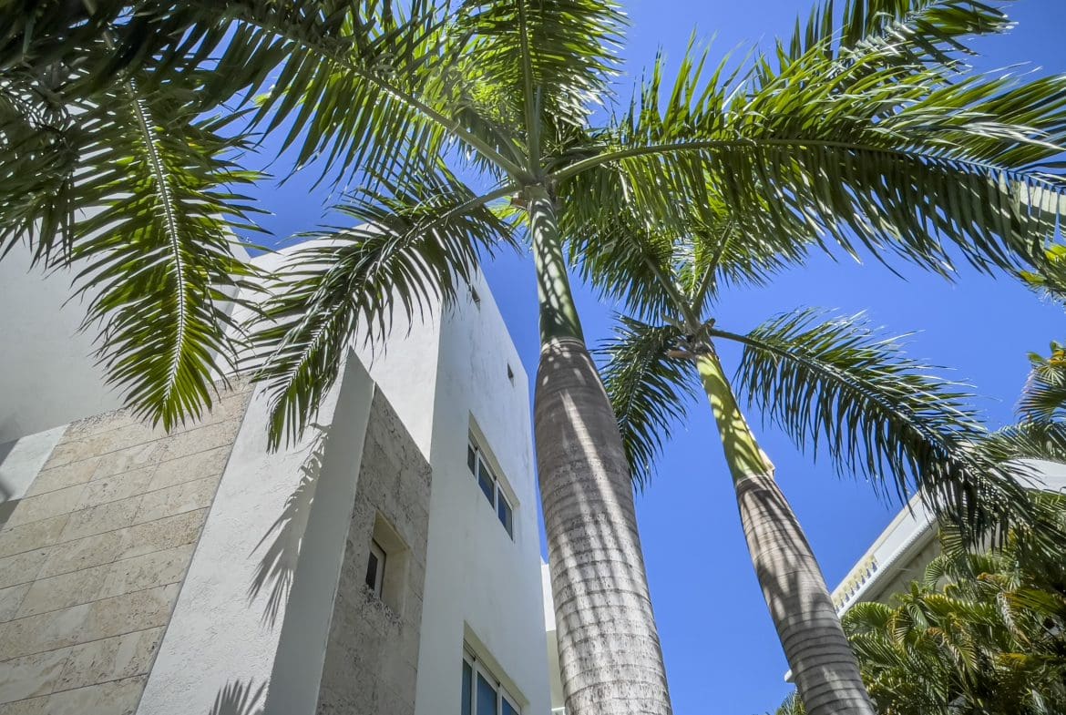 buyDRproperty Palm trees frame a modern white building under a blue sky. 3 Bedroom Oceanfront Condo. Sosua Real Estate