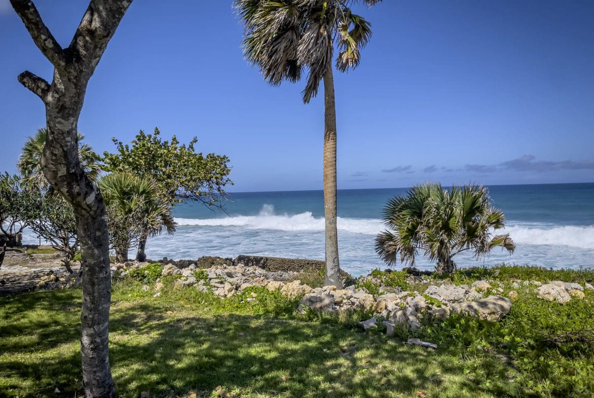 buyDRproperty Palm trees and ocean view from an oceanfront condo in Sosua Sosua Real Estate