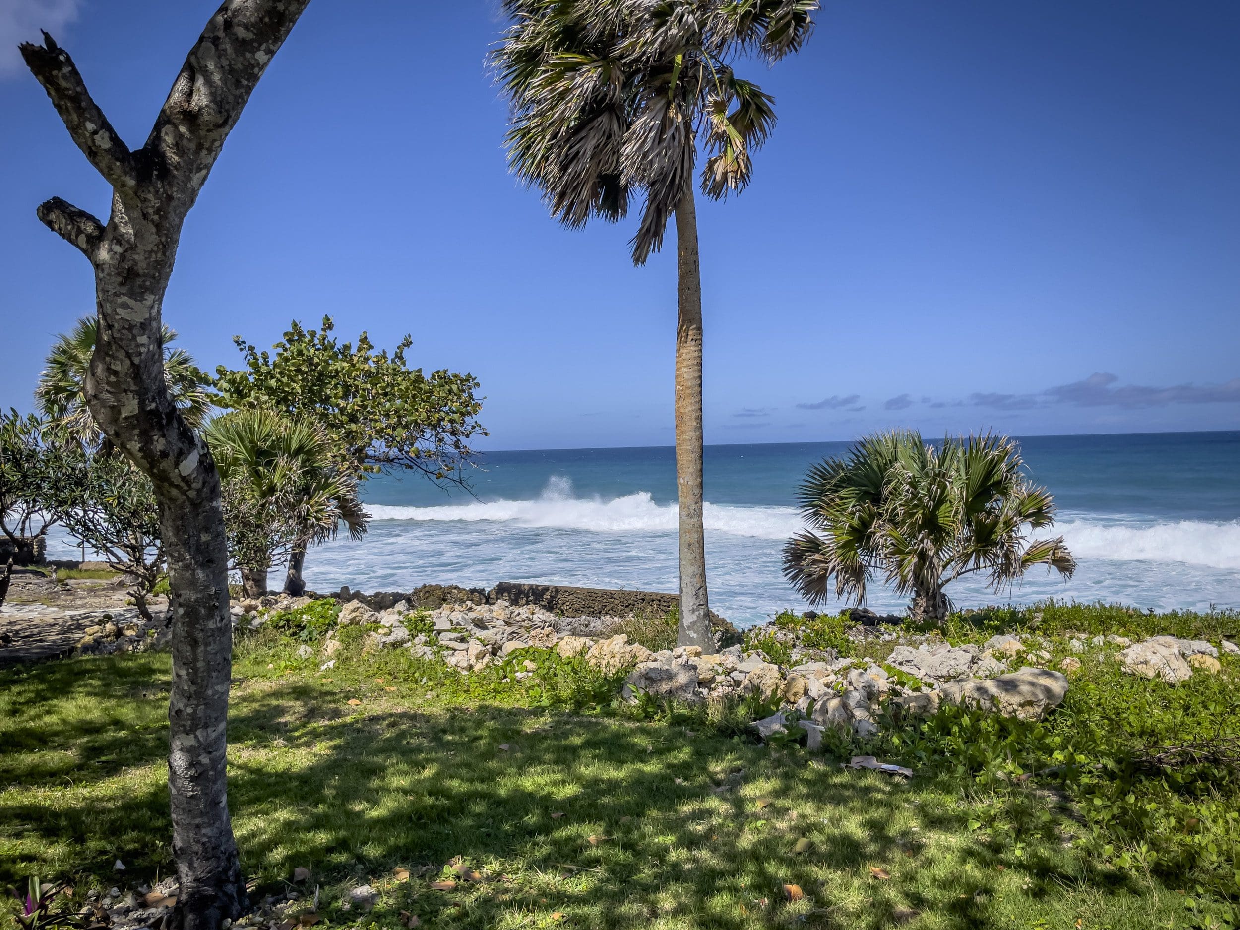 buyDRproperty Palm trees and ocean view from an oceanfront condo in Sosua Sosua Real Estate