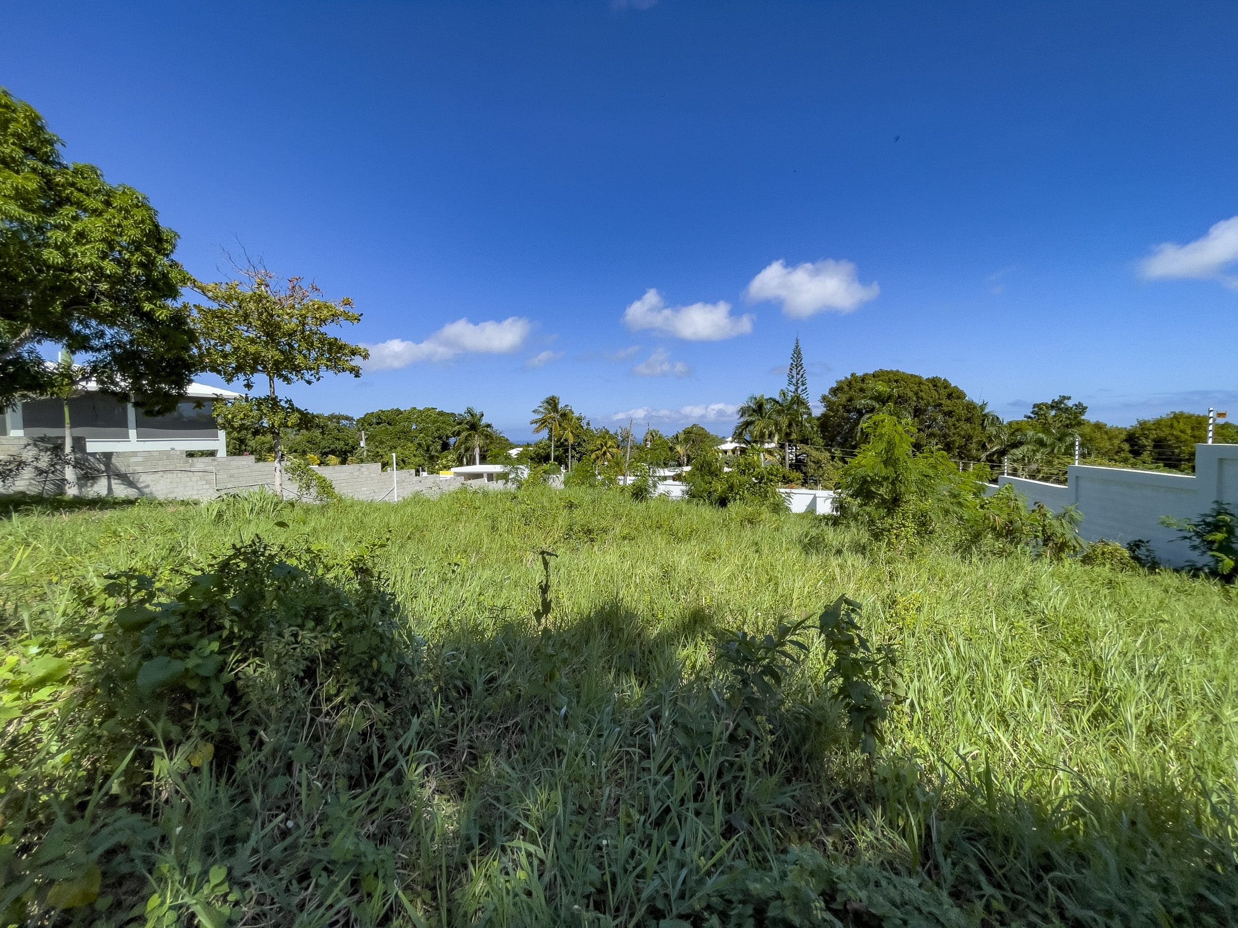 buyDRproperty Grassy lot with potential for lots for sale under blue sky Sosua Real Estate
