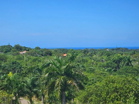 buyDRproperty Amazing Ocean View LOT over lush green forest, near Panorama Village Sosua Real Estate