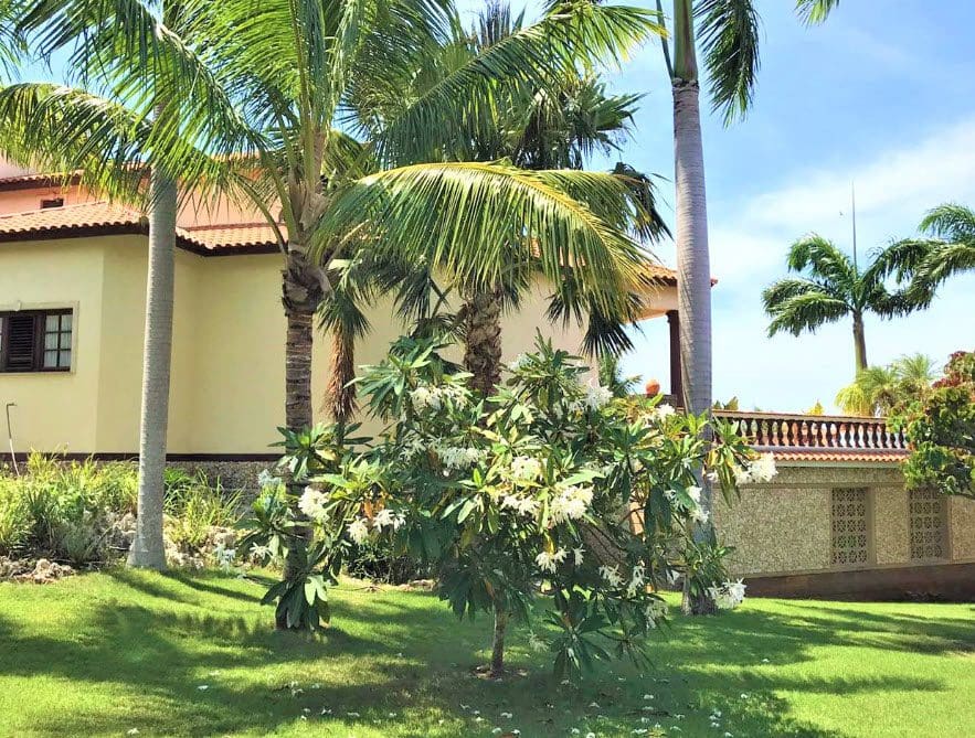 buyDRproperty Beautiful 5 Bedroom Villa with palm trees in the Dominican Republic Sosua Real Estate