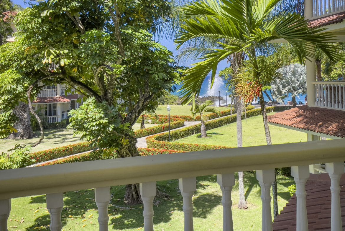 buyDRproperty View from balcony of a 3 Bedroom Oceanfront Condo overlooking tropical landscape and ocean. Sosua Real Estate