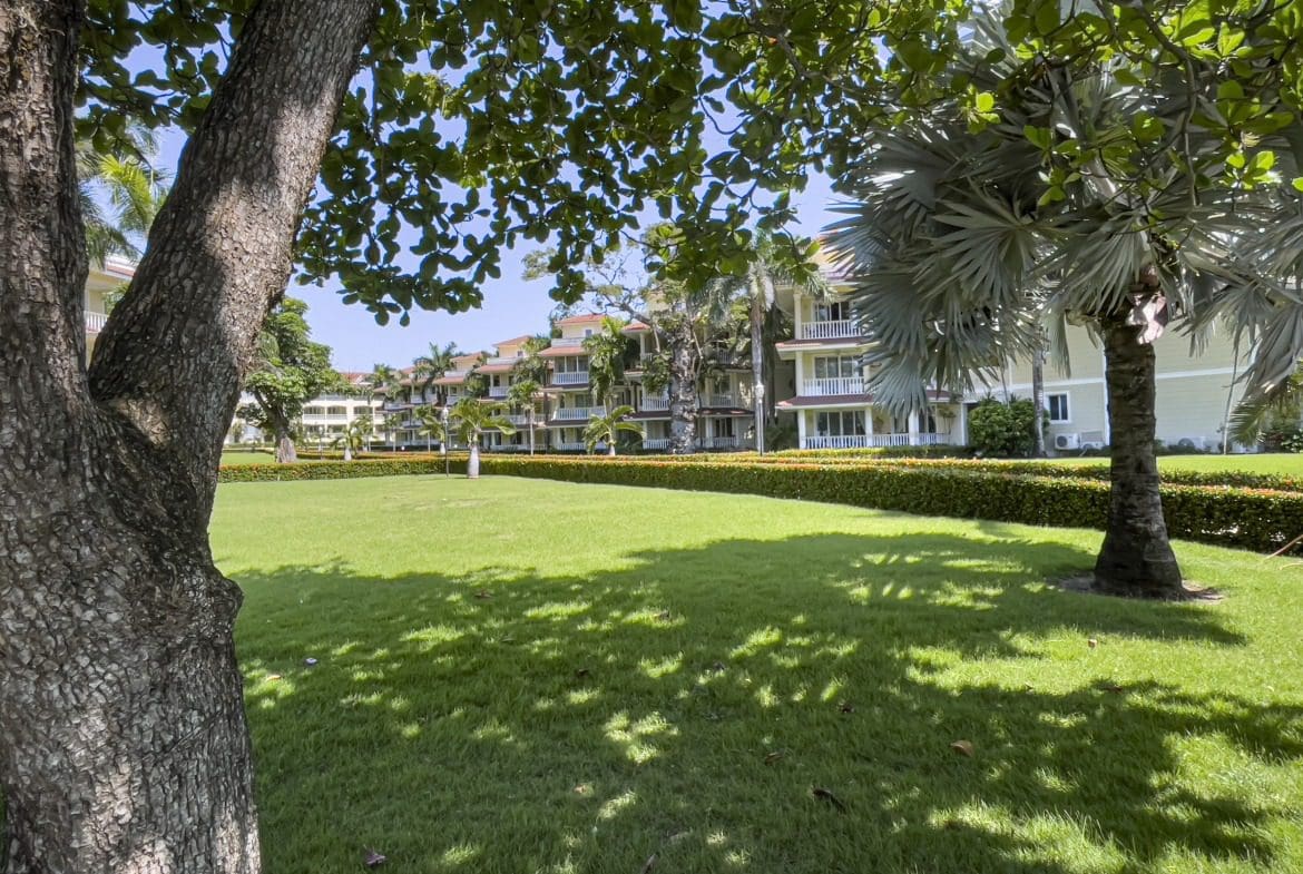 buyDRproperty Lush green lawn with palm trees and Sosua condo buildings under blue sky. Sosua Real Estate