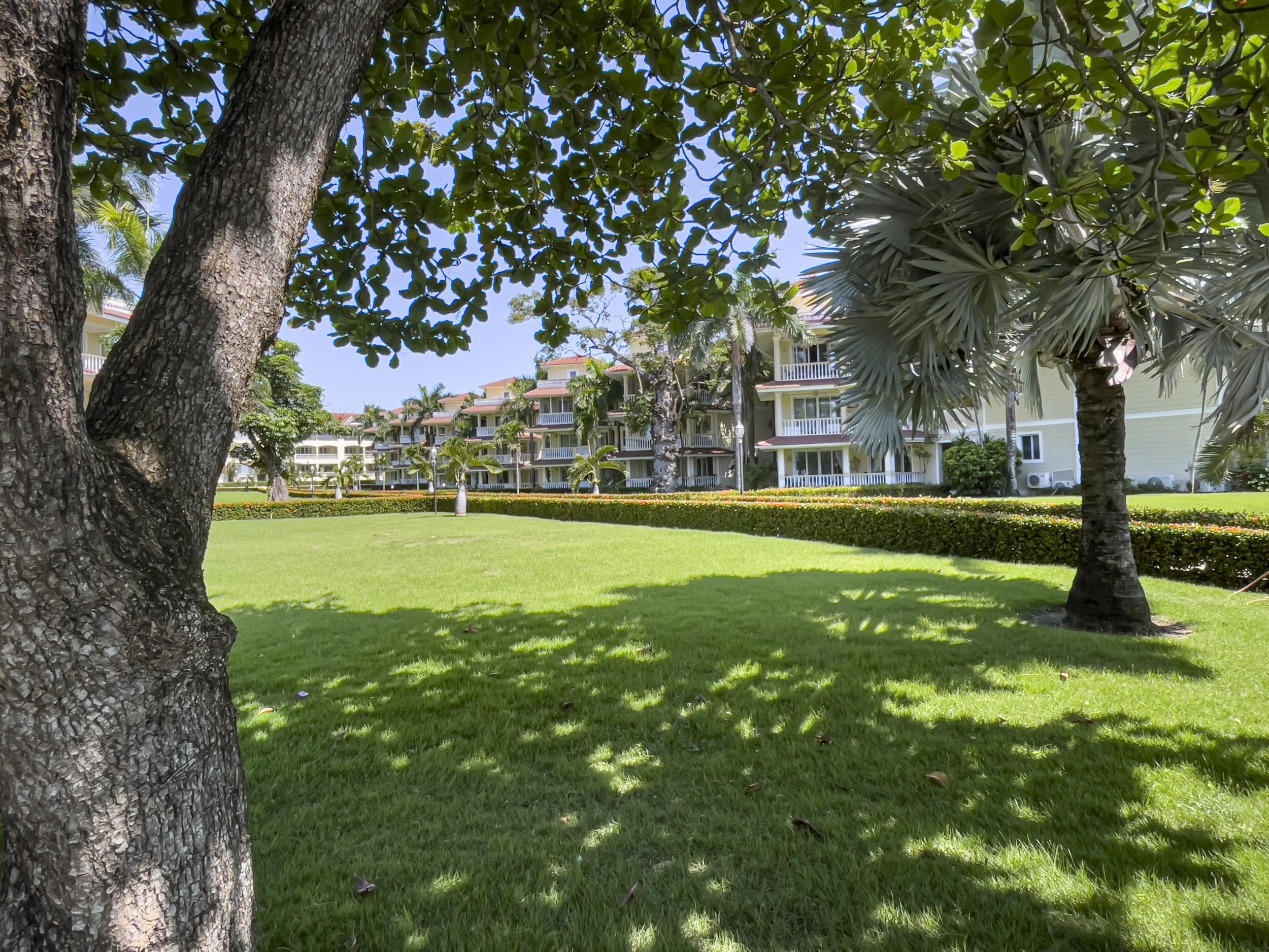 buyDRproperty Lush green lawn with palm trees and Sosua condo buildings under blue sky. Sosua Real Estate