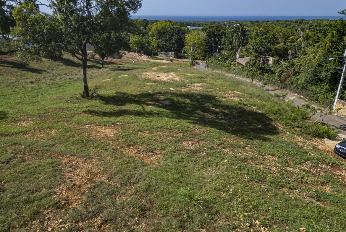 buyDRproperty Ocean view lot for sale in Sosua with green grass and trees Sosua Real Estate