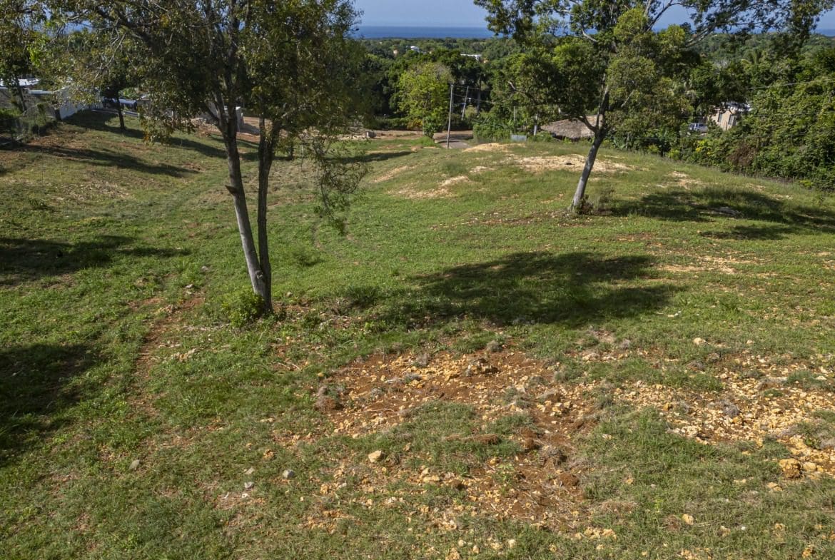 buyDRproperty Ocean view lot for sale with trees and grass, overlooking the ocean Sosua Real Estate