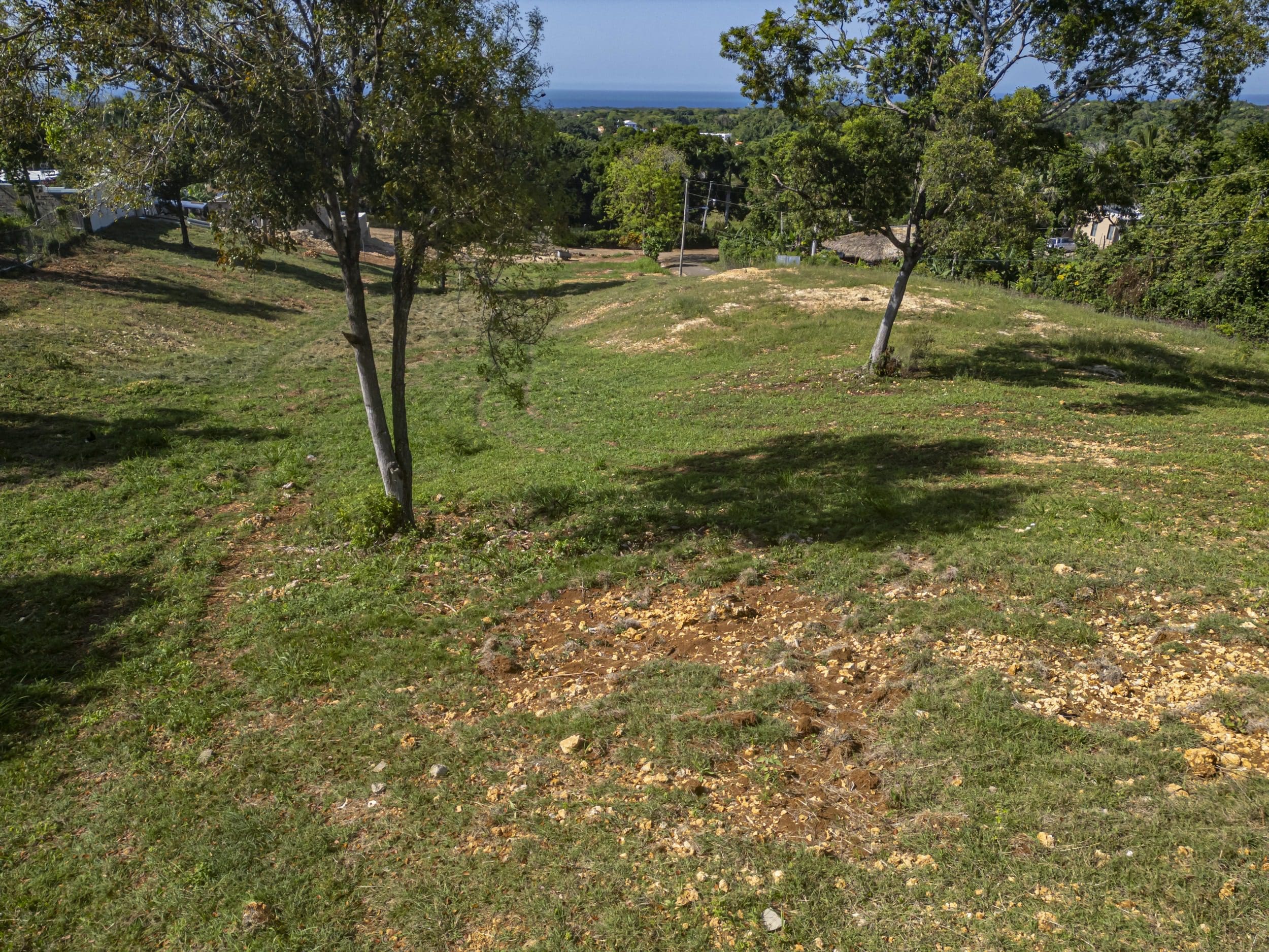 buyDRproperty Ocean view lot for sale with trees and grass, overlooking the ocean Sosua Real Estate