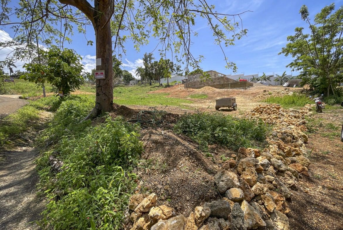 buyDRproperty Building lot for sale in Sosua, Dominican Republic, with "Se Vende" sign on tree. Sosua Real Estate