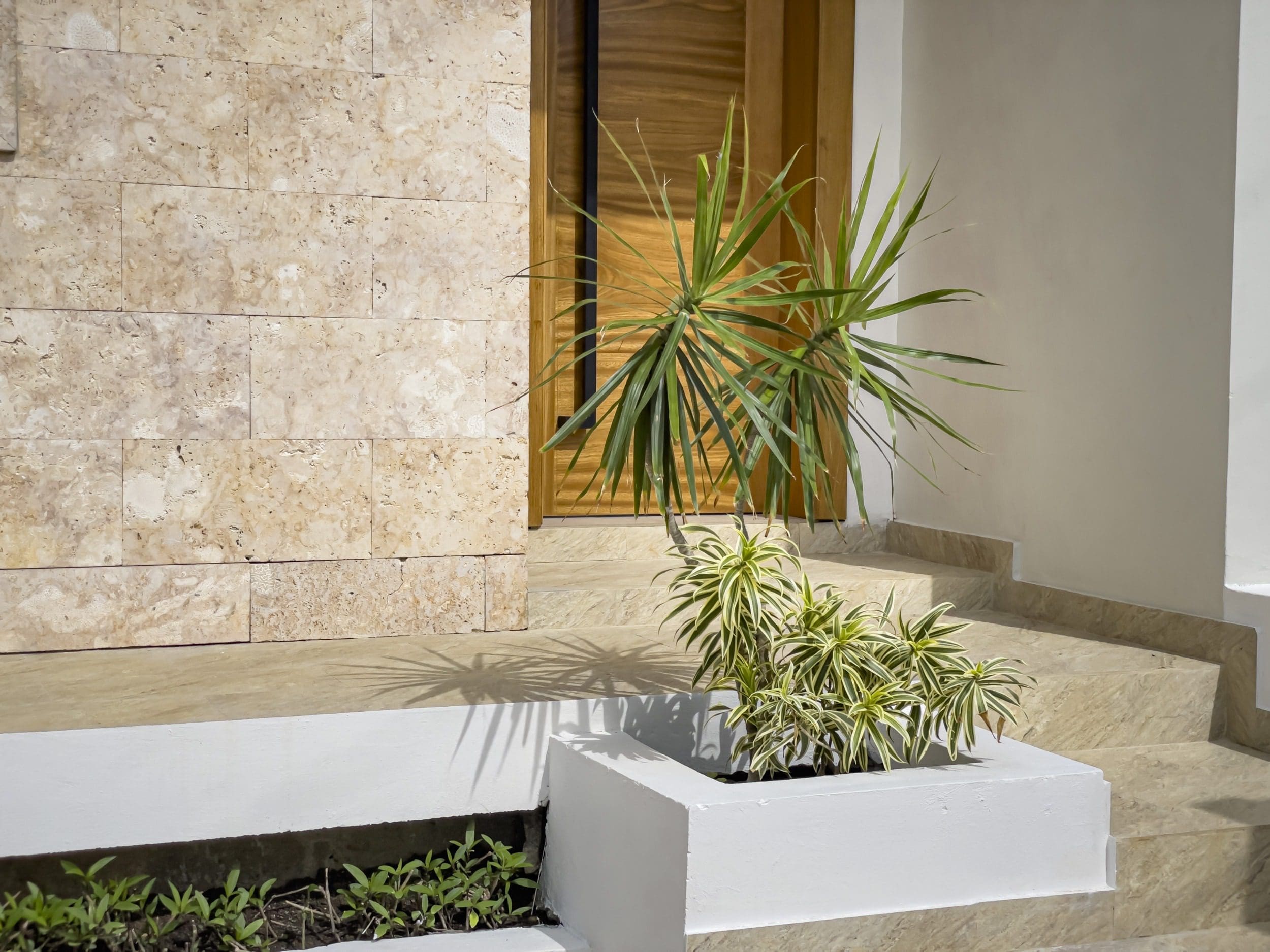 buyDRproperty Villa for sale exterior with wooden door, stone wall and decorative plants. Sosua Real Estate