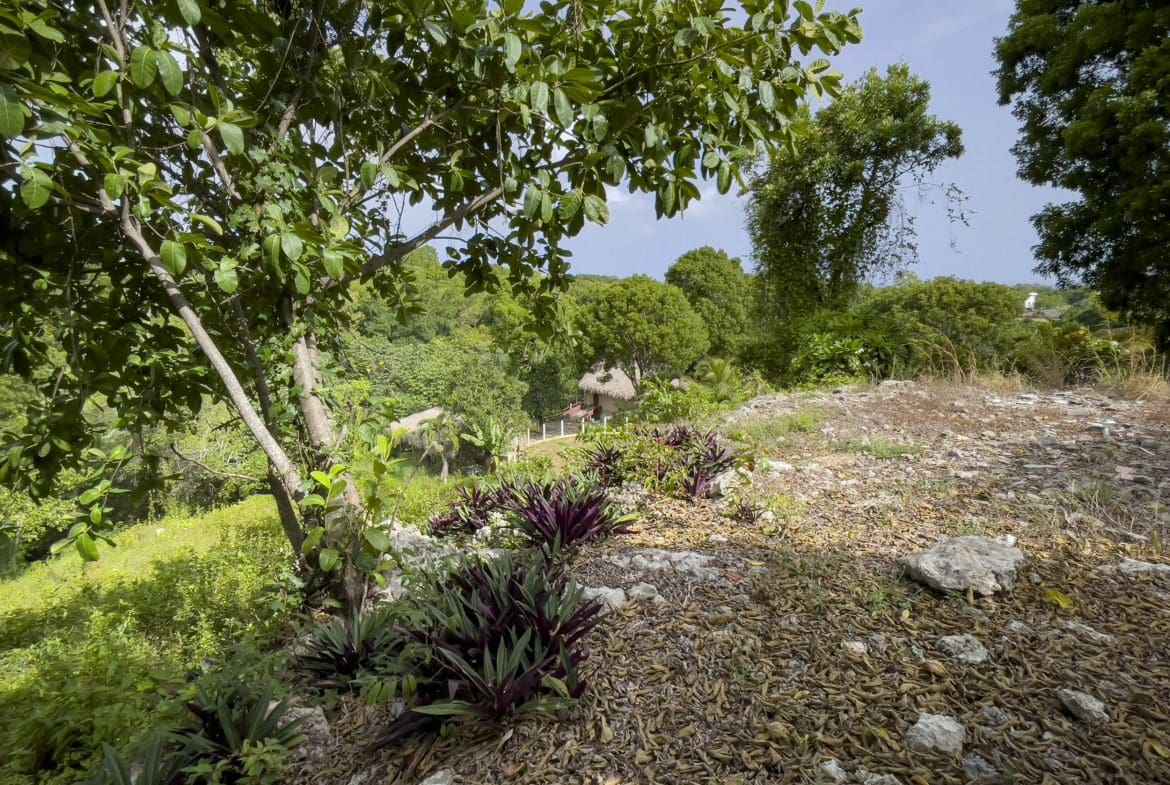buyDRproperty Lush tropical landscape with a small building and potential ocean views. Sosua Real Estate
