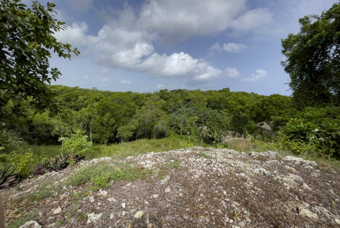 buyDRproperty Overlooking a building lot with lush tropical greenery and glimpses of blue sky. Sosua Real Estate