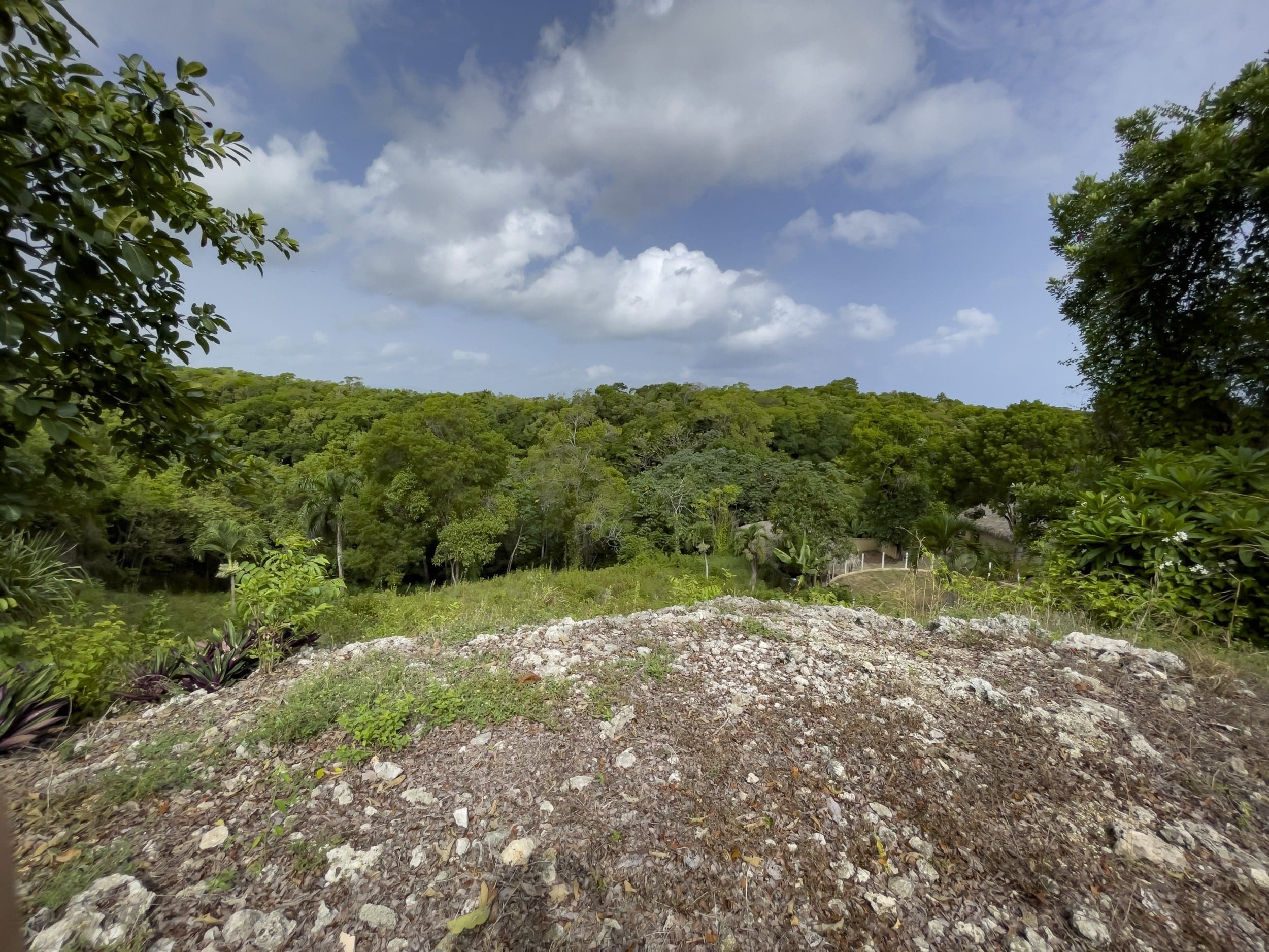 buyDRproperty Overlooking a building lot with lush tropical greenery and glimpses of blue sky. Sosua Real Estate