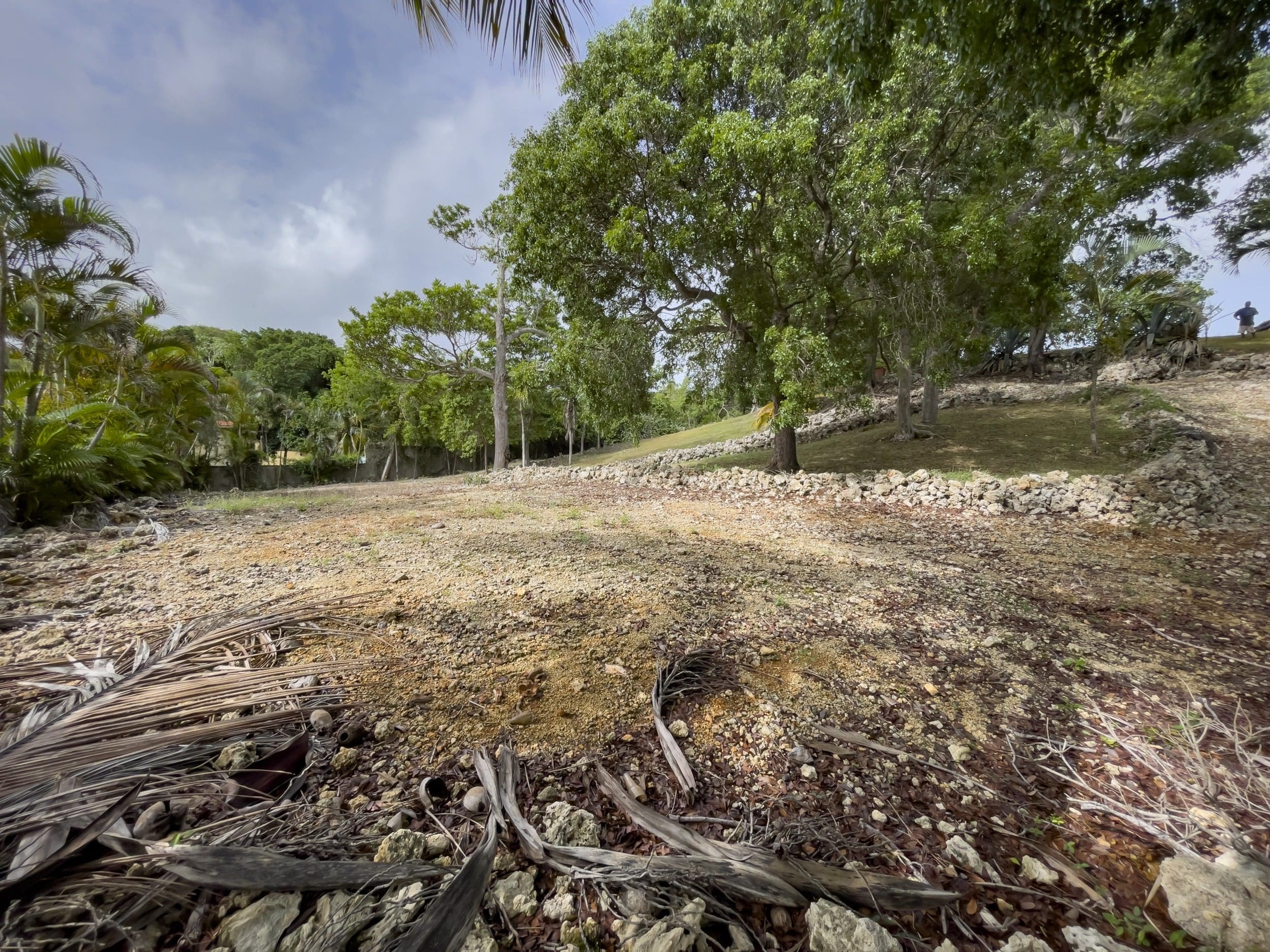 buyDRproperty Building lot with ocean views, ready for construction. Land for sale in a tropical location. Sosua Real Estate