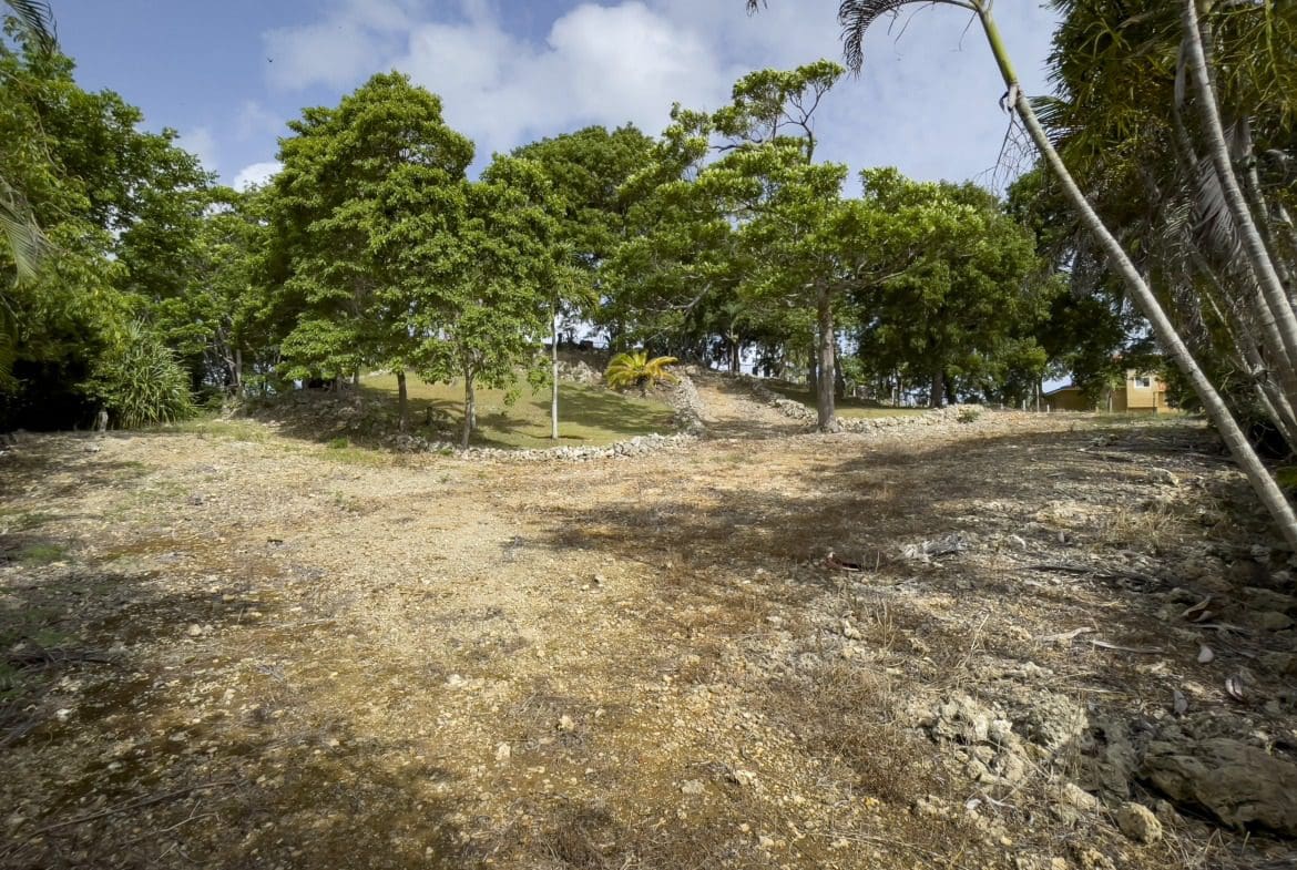 buyDRproperty Vacant building lot for sale with trees and potential ocean views. Sosua Real Estate