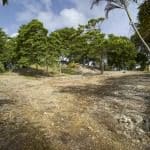 post title   site title