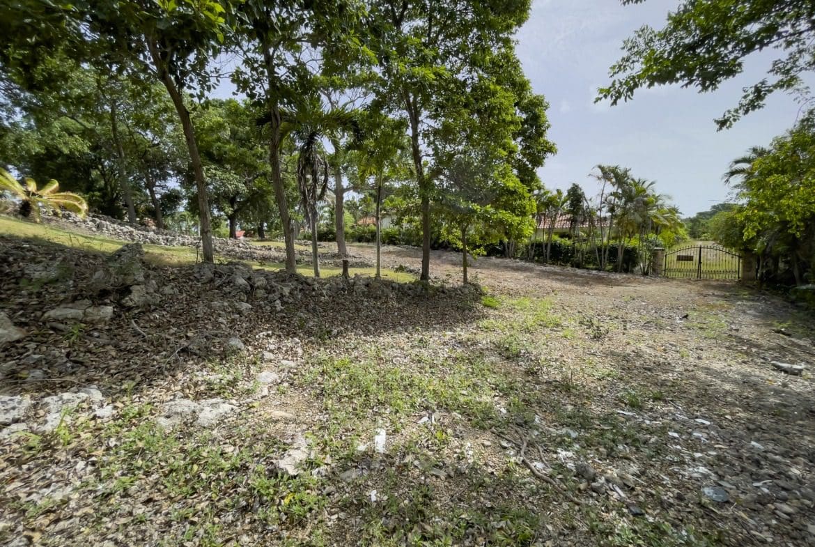 buyDRproperty Vacant building lot with trees and a gated entrance. Potential for ocean views. Sosua Real Estate