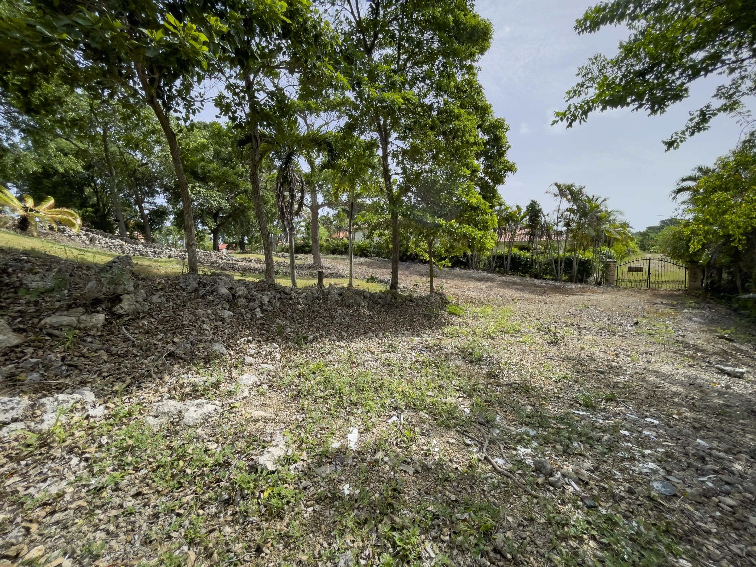 buyDRproperty Vacant building lot with trees and a gated entrance. Potential for ocean views. Sosua Real Estate