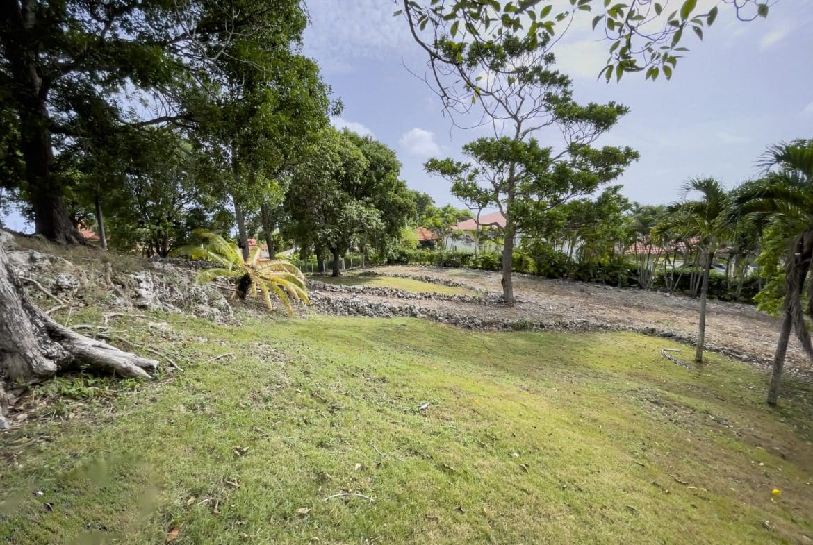 buyDRproperty Grassy building lot for sale with potential ocean views, surrounded by trees. Sosua Real Estate